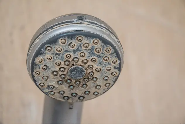 Shower head showing hardness deposits